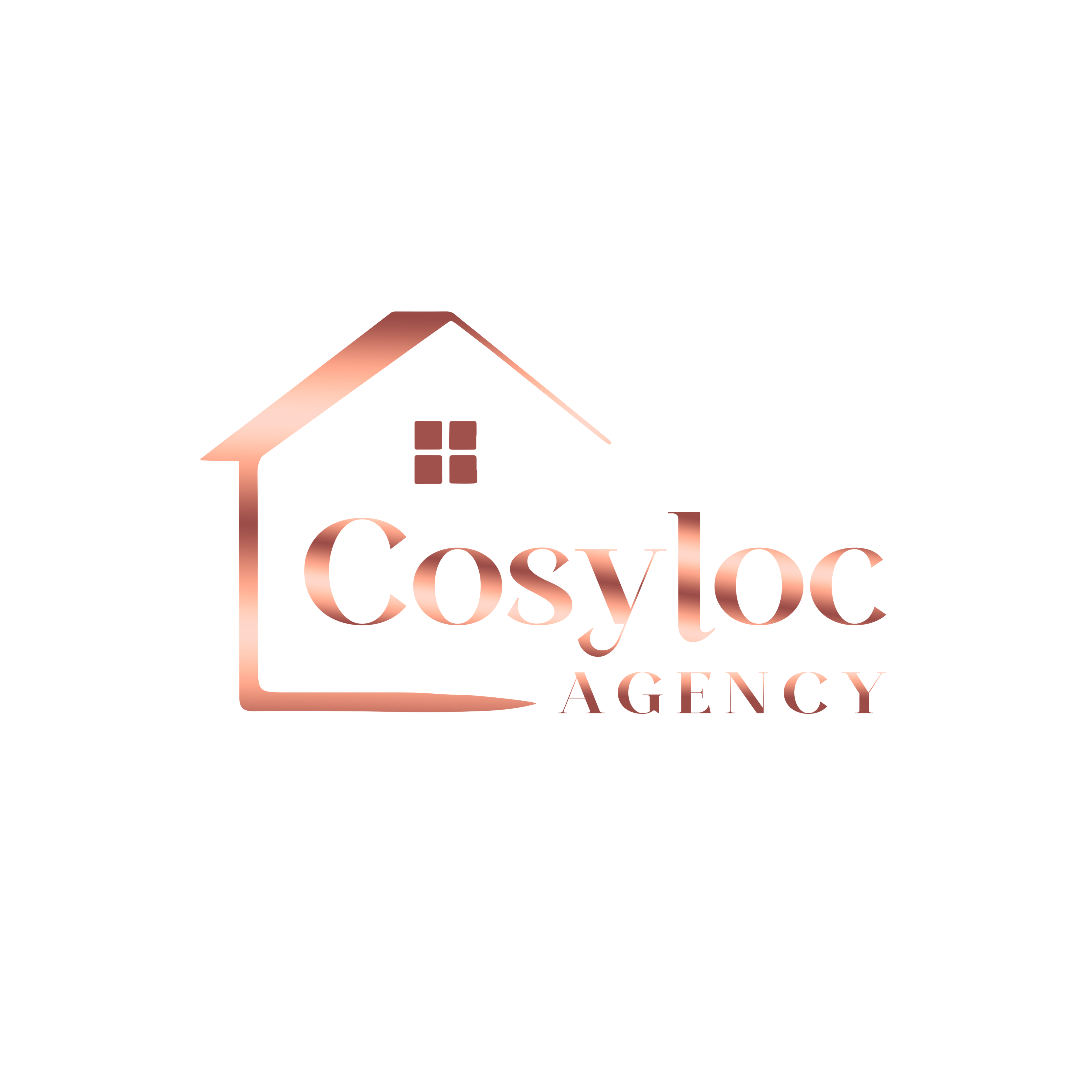 COSYLOC AGENCY SANS CERCLE BLANC